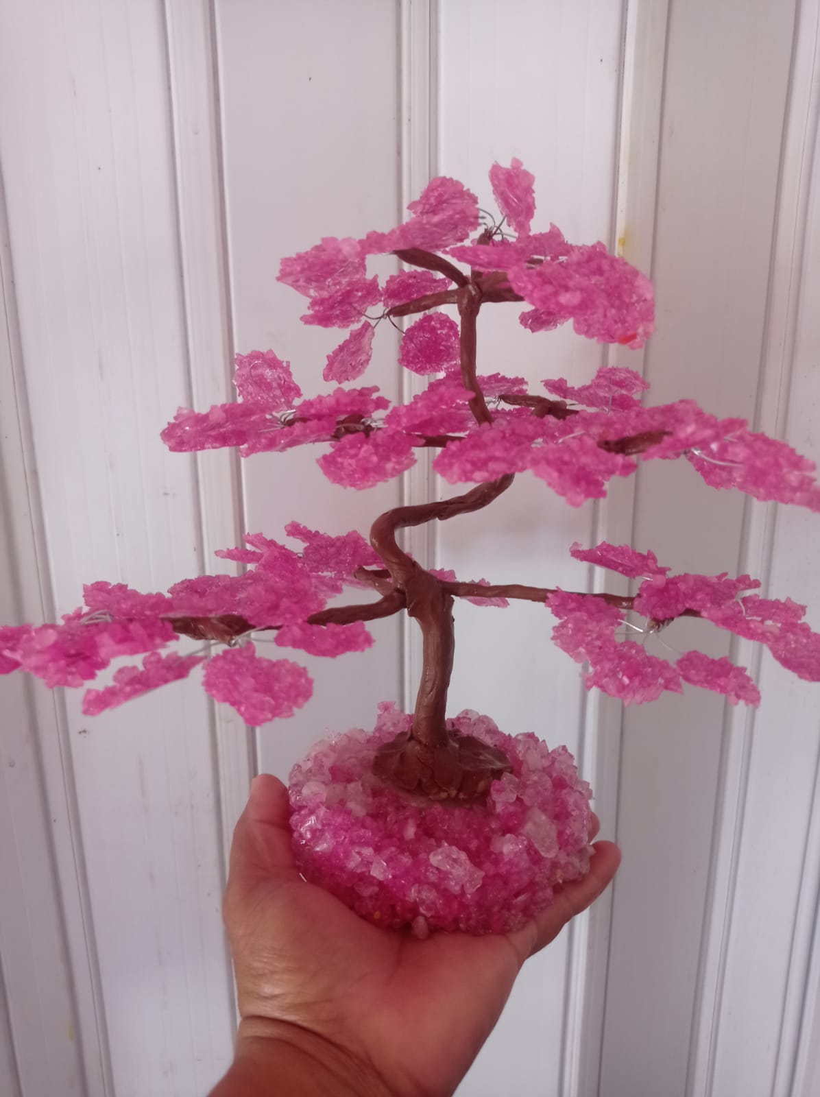 Adelaide-Stand-413-Rua-U-4