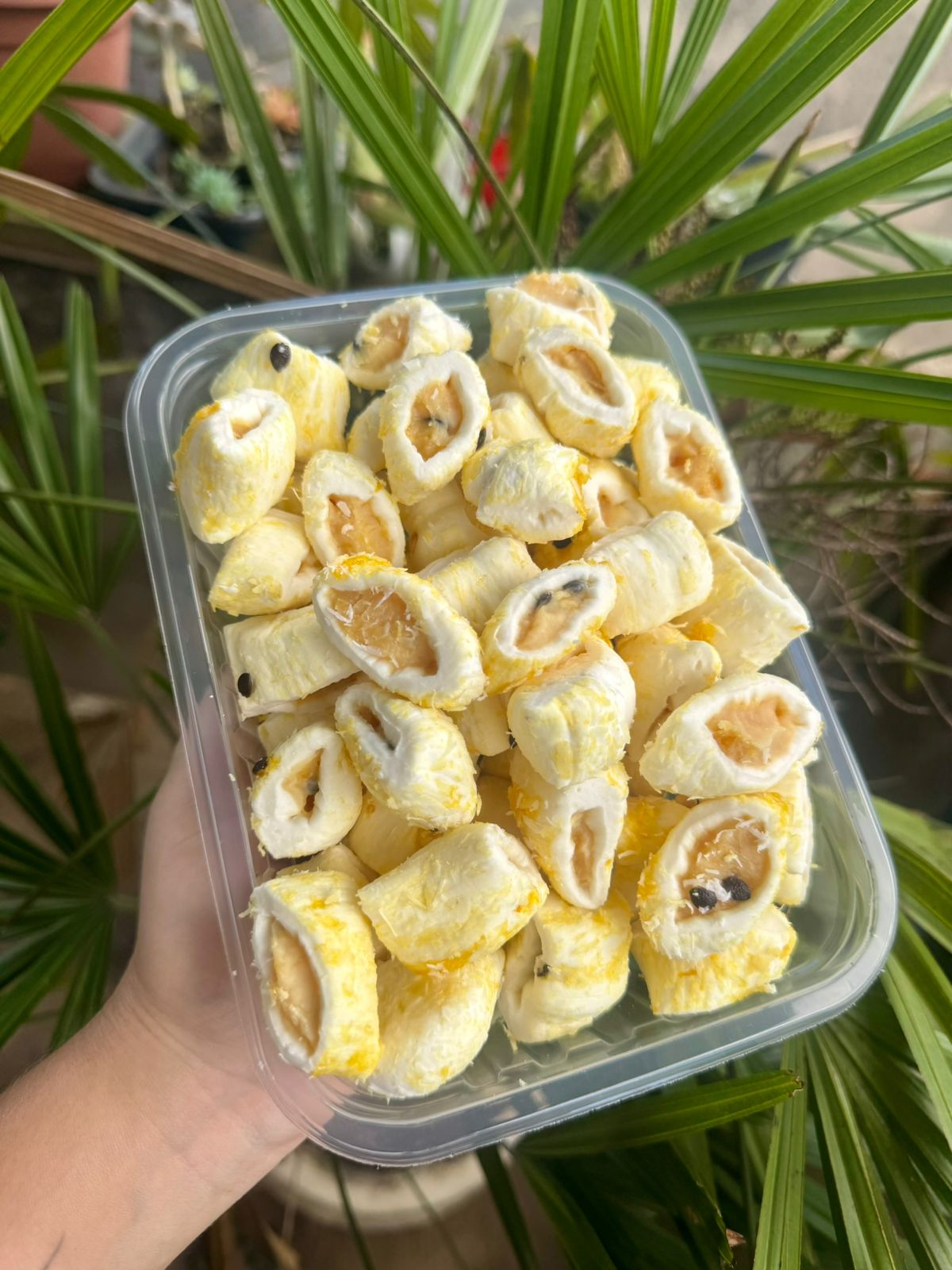 Brenda-Balas-de-Coco-1