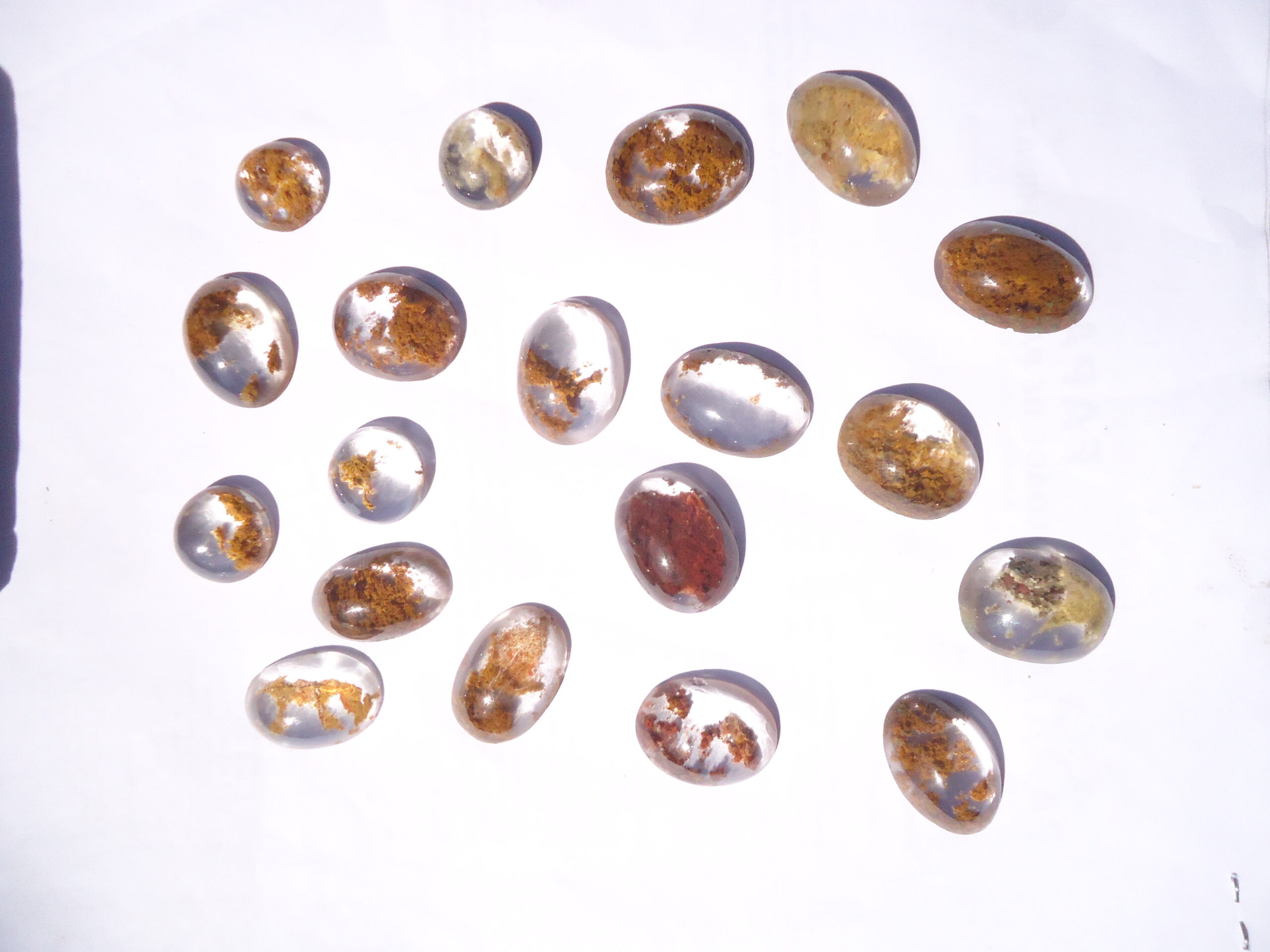 Jose-Morais-Stand-FV20-5