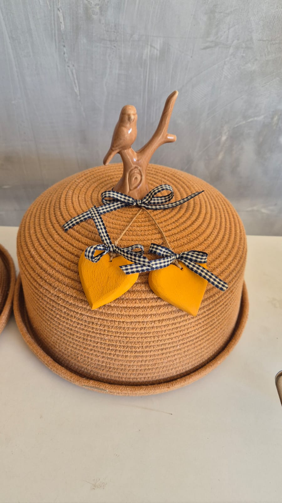 Imagem-do-WhatsApp-de-2025-11-10-as-15.47.28_c49f48f3