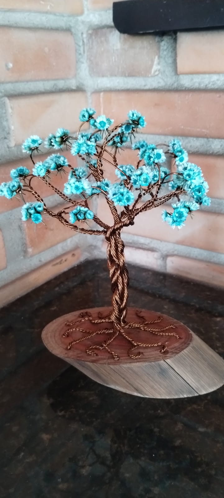 WhatsApp-Image-2025-11-22-at-17.05.26-2